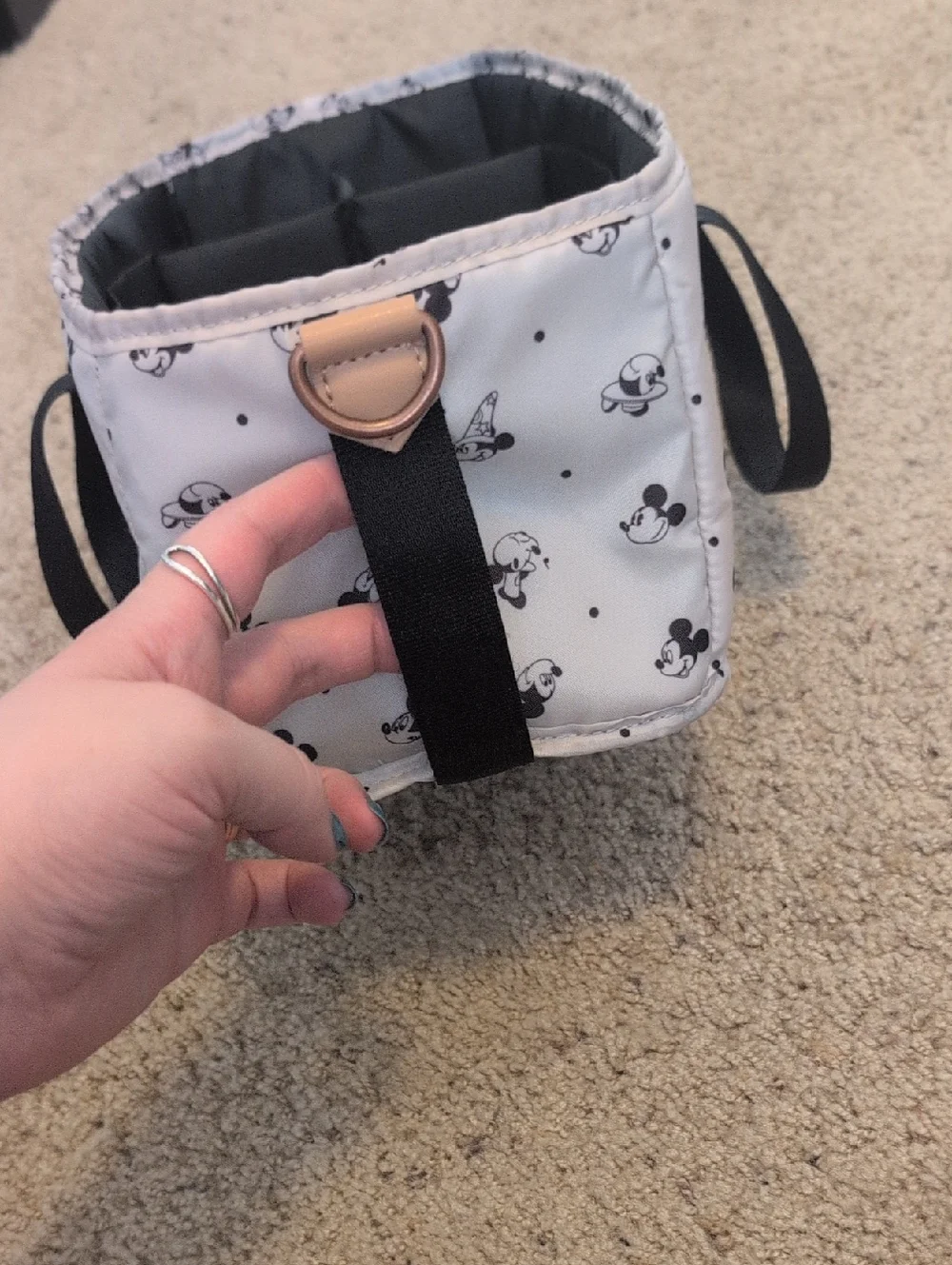 Petunia Pickle Bottom for Disney Baby Inter-Mix System